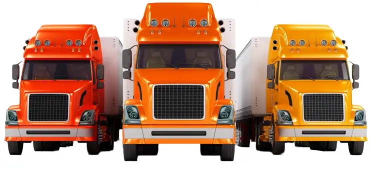 Professional Trucking Company